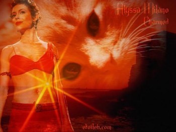 Matahari et Chat
